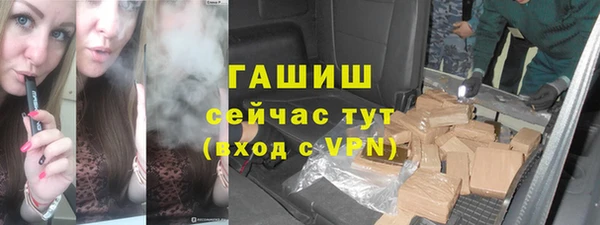 хмурый Алексин