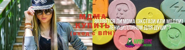 хмурый Алексин