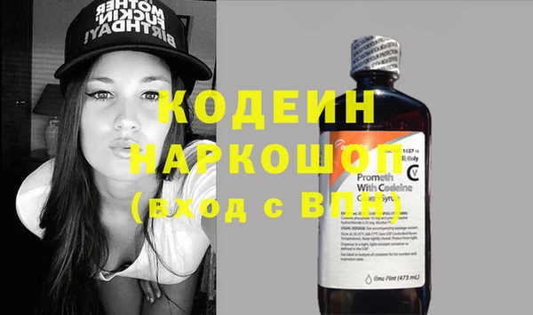 хмурый Алексин