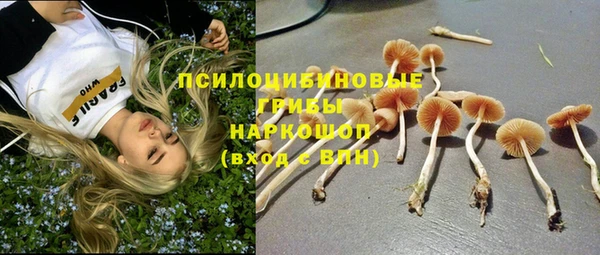 хмурый Алексин