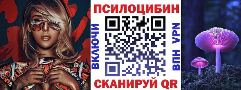 Псилоцибиновые грибы мухоморы  продажа наркотиков  Краснозаводск 